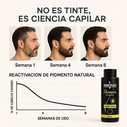 Maxi Plus Shampoo Cubre Canas + Obsequio Colágeno + Envió Gratis ✅